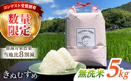 無洗米 松江市産 きぬむすめ 5kg  [ALBW010] 無洗