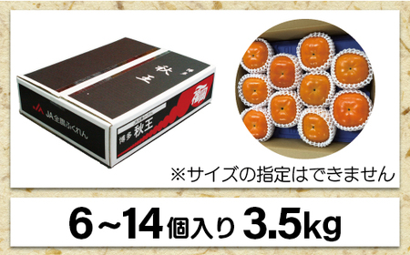 【2024年10～11月発送】秋のフルーツの王様・ブランド柿「秋王」約3.5kg[E2321a]