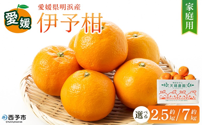 
                  【先行予約】＜伊予柑 家庭用 約2.5kg／7kg＞ 選べる 容量 内容量 ご家庭用 いよかん イヨカン みかん 蜜柑 柑橘 訳あり 果物 くだもの フルーツ ミカン 愛媛 国産 2.5キロ 7キロ ジューシー 明浜 特産品 笑丸 愛媛県 西予市【常温】『2027年1月下旬より順次出荷予定』
                