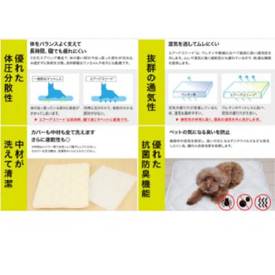 ふるさと納税 都城市 ペット用「エアーアスリート(R)」SSサイズ　ブラウン ry0202ssBR |  | 02