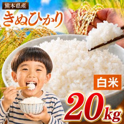 ふるさと納税 玉名市 【令和8年産】熊本県産 きぬひかり 白米 20kg