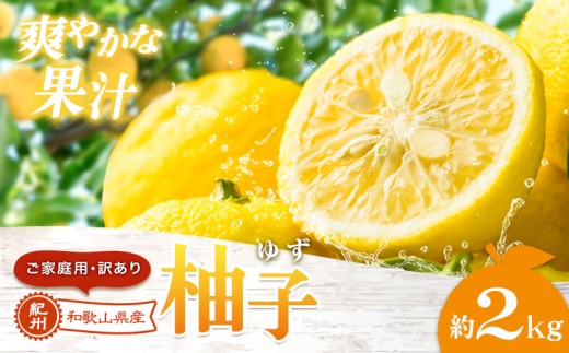 ゆず 国産 ご家庭用 訳あり 紀州 和歌山県産 有田 柚子 約2kg 有田マルシェ《2026年10月末頃-2027年1月下旬頃発送予定》 和歌山県 日高町 ユズ 柑橘 フルーツ ギフト 送料無料