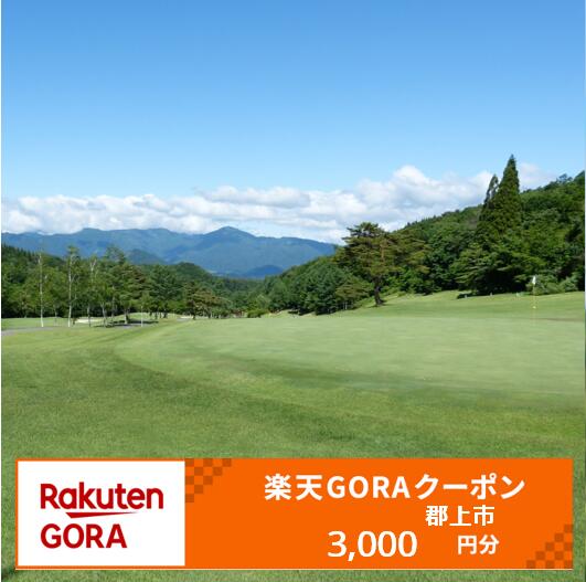 【ふるさと納税】岐阜県郡上市の対象ゴルフ場で使える楽天GORAクーポン寄付額10,000円 / カタログギフト チケット 金券 旅行 交通関連チケット 旅行券 ホテル券 航空券 10000円