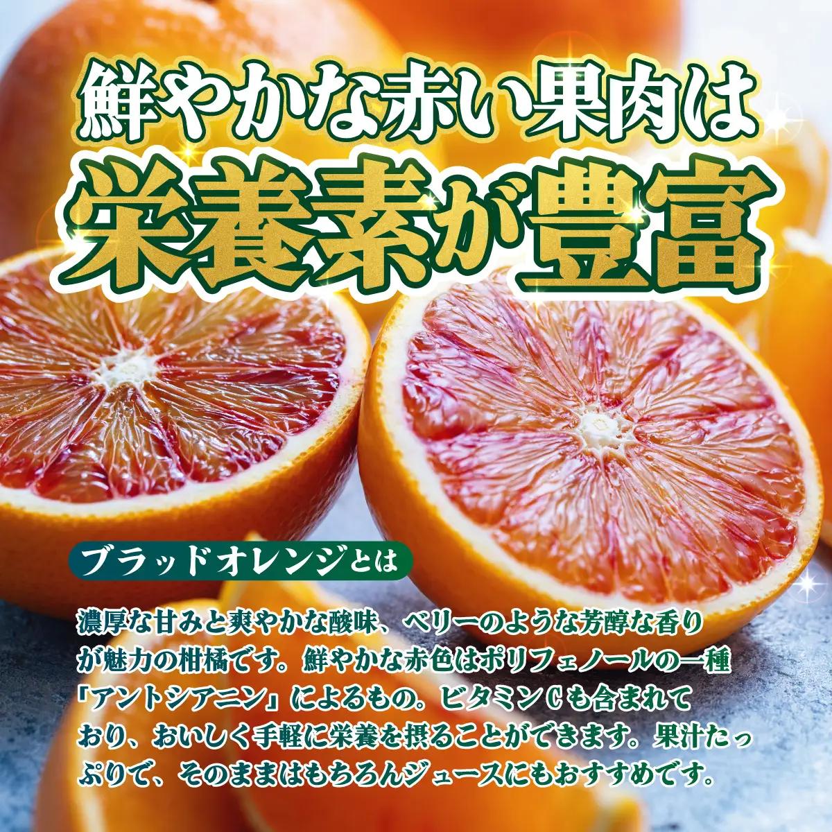 ＜【訳あり】愛媛県産 ブラッドオレンジ 約1.5kg＞『2027年2月下旬～3月下旬迄順次発送予定』わけあり 訳アリ 果汁 ジューシー みかん 蜜柑 果物 くだもの フルーツ ミカン 果汁 国産 特産