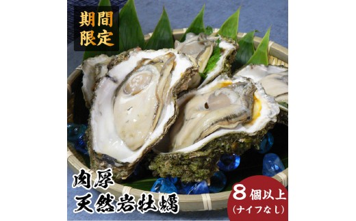 
                  先行予約 秋田の肉厚な天然岩牡蠣（岩ガキ 8個以上）ナイフ無し かき カキ 秋田県 にかほ市産 天然 岩牡蠣  殻付 牡蠣 海産物 魚介類 海鮮
                