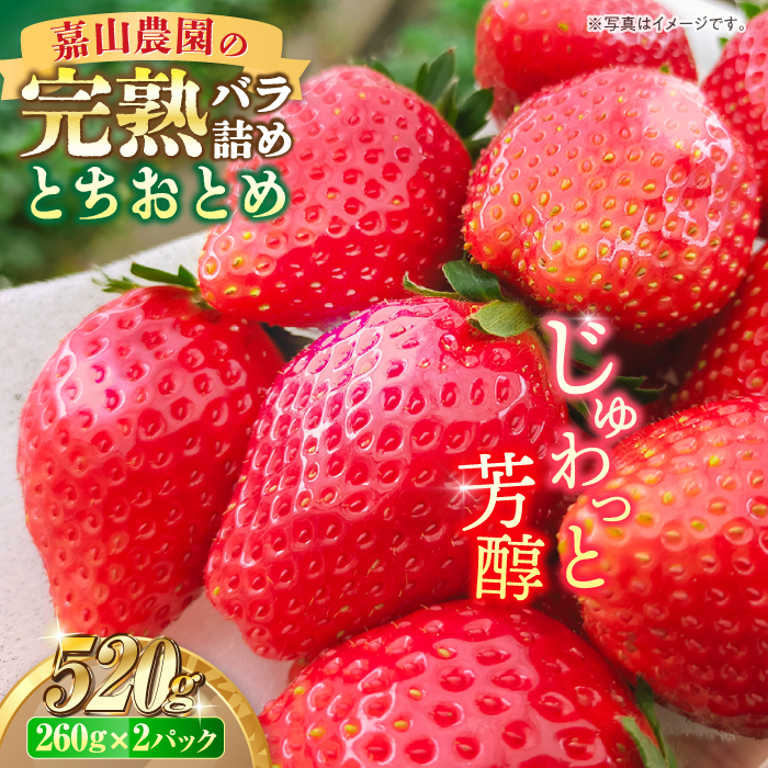 【先行予約】【数量限定200セット】嘉山農園の完熟バラ詰めいちご とちおとめ（260g×2パック）【いちごはうす嘉山農園】 [AKCO002]