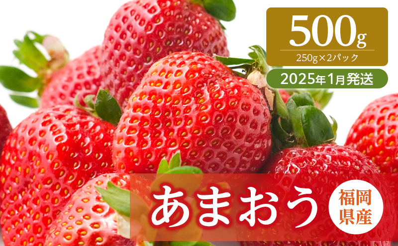 いちご 福岡県産 あまおう 500g (250g×2パック) 先行予約 2025年1月より順次発送 果物 デザート ※配送不可：離島