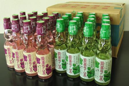 鍛高ラムネ（青・赤）【30本入り】_I013-0178