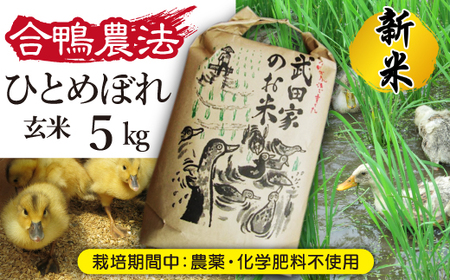 《令和６年産》新米 武田家のお米 ひとめぼれ（玄米）５kg＜合鴨農法＞【米農家 仁左ェ門】 / 米 げんまい ５キロ アイガモ