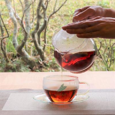ふるさと納税 南大隅町 ねじめびわ茶(24包入×2袋)　おひとりさま(20包入×1袋) |  | 01