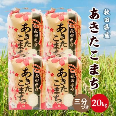 ふるさと納税 潟上市 【毎月定期便】秋田県産あきたこまち 20kg(5kg×4袋)(三分づき)全3回