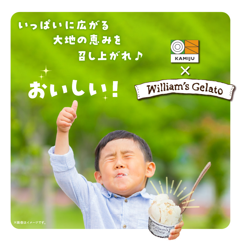 （お試し）【3種のフレーバーを食べ比べ!!】だいちとつながるジェラート3個セット 映えるデザインが可愛いと話題に!! マドンナキャロット 地元野菜 甘い アイス スイーツ デザート 洋菓子 可愛い 詰