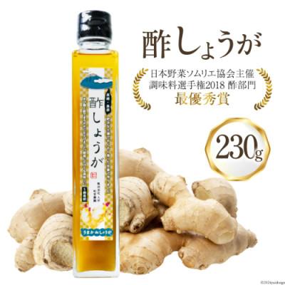 ふるさと納税 島原市 酢しょうが 1本 AI202