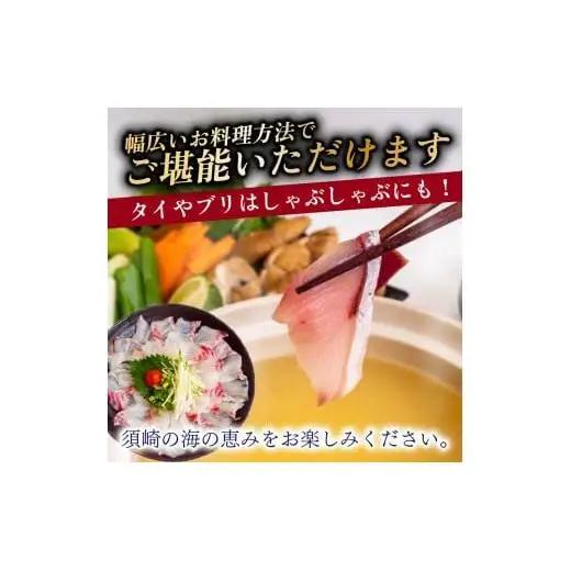 【 刺身 】 刺身定期便4ヶ月