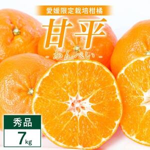 甘平 7kg 愛媛県 八幡浜市 西宇和地区 扁平で濃い味【H25-332】【1714521】