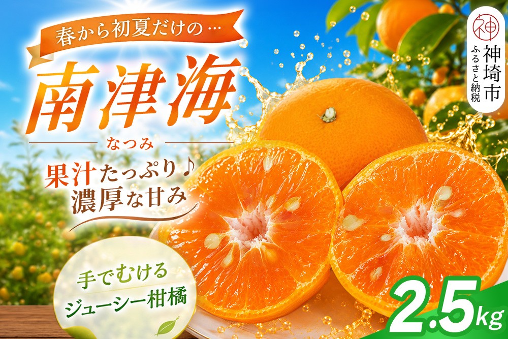 
                  【2027年4月上旬より発送開始】南津海(なつみ)みかん 2.5kg【みかん 柑橘 オレンジ ポンカン フルーツ デザート 果汁】(H116155)
                
