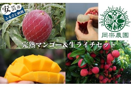 【先行予約/数量限定】【令和8年】希少 完熟マンゴー＆生ライチセット / 高知県産 国産 果物 BK
