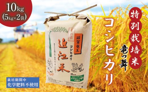 新米 【令和6年9月上旬より順次発送】 こしひかり 白米 10kg  （ 5kg × 2袋） 2024年産 竜の舞 化学肥料不使用 特別栽培米 国産 安心 安全 近江米 米 お米 白米 お弁当 玄米 