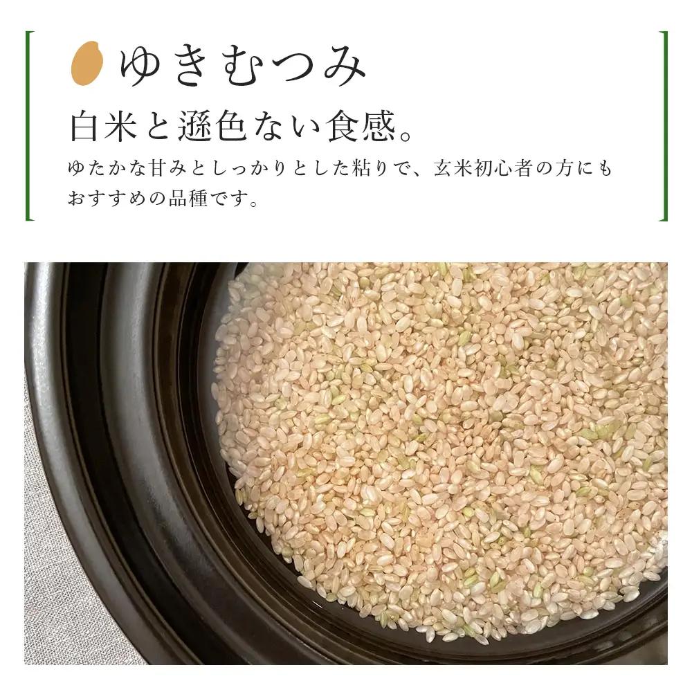 【令和8年産新米予約】【定期便6カ月】玄米「ゆきむつみ5kg」特別栽培米産地直送《帰山農園》