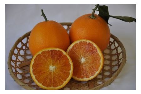 有田の旬果　詰め合わせ(B152-1)