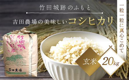 【令和6年産 新米】竹田城跡の麓 吉田農場の美味しいコシヒカリ(玄米)20kg×1 兵庫県 朝来市 AS1D1 お米 米 おこめ ごはん ご飯 こしひかり 玄米 新米 新米 新米 新米 新米 新米 新米 新米 新米 新米 新米 新米 新米 新米 新米 新米 新米 新米 新米 新米 新米 新米 新米 新米 新米 新米 新米 新米 新米 新米 新米 新米 新米 新米 コシヒカリ こしひかり コシヒカリ こしひかり コシヒカリ こしひかり コシヒカリ こしひかり コシヒカリ こしひかり コシヒカリ こしひかり コ