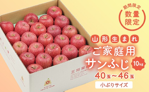 《先行予約 2026年度発送》【王将果樹園】ご家庭用サンふじ 10kg  りんご リンゴ 林檎 デザート フルーツ 果物 くだもの 果実 食品 山形県 FSY-2690