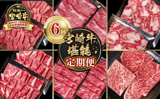【定期便】宮崎牛 6回定期便 小分け ブランド牛 A４～A5等級 内閣総理大臣賞4連覇＜58-47a＞焼き肉 すき焼き 牛肉 最高級黒毛和牛