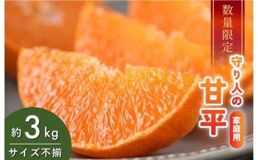 [先行予約] [数量限定] 守り人の甘平 3kg（家庭用） [K003070] 2月上旬～2月下旬に順次発送予定 かんぺい 愛媛 甘平 みかん 愛媛県 果物 フルーツ みかん 3kg 甘い 高級 柑橘類 守り人