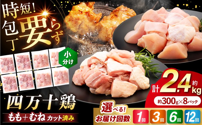 
                  【選べるお届け回数】四万十鶏「もも肉」「むね肉」 切身 計約2.4kg （約300g×8パック） 3回・6回・12回 カットでかんたん時短セット 【三栄ブロイラー販売株式会社】 [ATDP003]
                