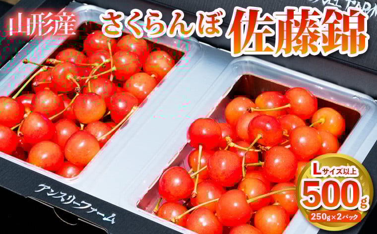 
            さくらんぼ 「佐藤錦」500g Lサイズ以上 山形産 FY25-027
          