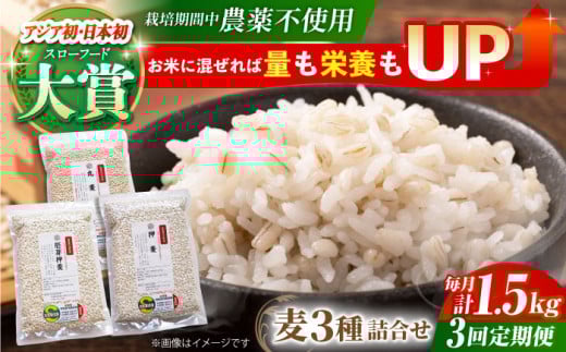 【全3回定期便】栽培期間中農薬不使用 麦詰合 500g×3種 ( 押麦 胚芽押麦 丸麦 ) 【葦農】[HAJ031] 麦 雑穀 雑穀米 麦ごはん 1等麦 特別栽培農産物 佐賀 食物繊維 500g ご飯 食べ比べ セット