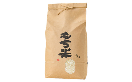 【令和7年産】新庄産「ヒメノモチ」（精米）5kg F3S-2670