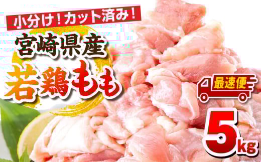 【最速便】宮崎県産若鶏 もも肉 5kg（250g×20パック）_M146-008_02-2W