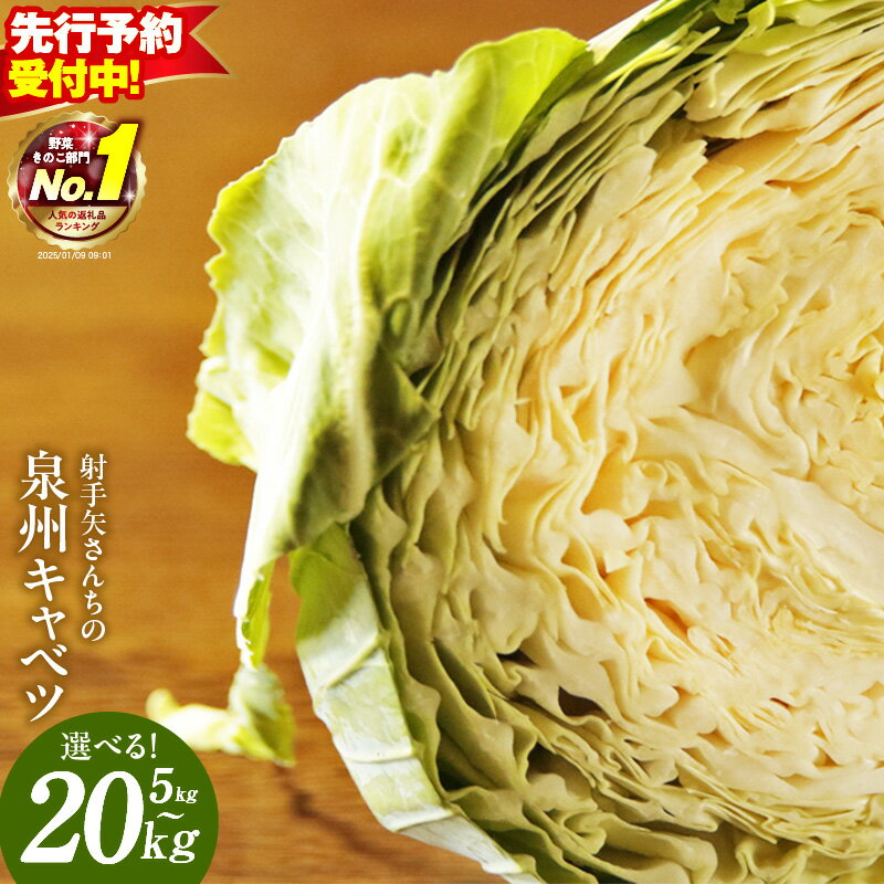 【ふるさと納税】【先行予約】 1位獲得 高評価★4.83 泉州キャベツ 5kg / 10kg / 20kg 射手矢農園 泉佐野市産 訳あり 芯まで甘い キャベツ 新鮮 常備菜 野菜 旬 時期 収穫 サラダ お好み焼き 焼肉 ロールキャベツ 野菜炒め 泉佐野市 送料無料