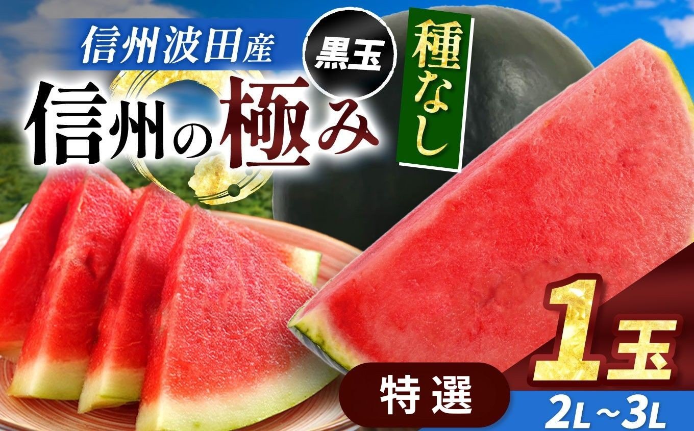 
            【先行受付：2026年7月発送】信州波田産 種無し黒玉スイカ！信州の極み 【特選】 2L～3Lサイズ 1玉｜ふるさと納税 長野県 信州 松本 果物 フルーツ すいか スイカ 西瓜 贈答 季節限定 甘い くだもの ふるーつ
          
