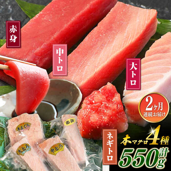 【ふるさと納税】【全2回定期便】対馬産 本マグロ 4種 計550g（赤身/中トロ/大トロ/ネギトロ）《対馬市》【対海】[WAH033] 新鮮 マグロ 鮪 本鮪 赤身 中トロ 大トロ ねぎとろ 海鮮 冷凍 定期