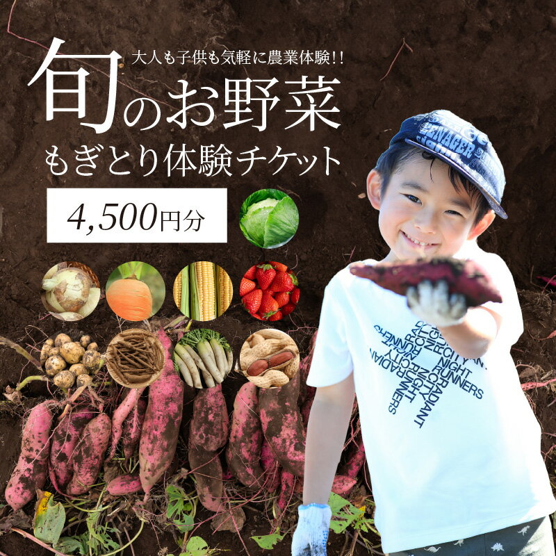 【ふるさと納税】旬のお野菜 もぎとり体験 4,500円分 チケット 300円 × 15枚 旬 野菜 大人 子供 農業体験 収穫体験 収穫 畑 農園 体験チケット 体験 プレゼント 何名様でもご利用可能 愛知県 碧南市 送料無料