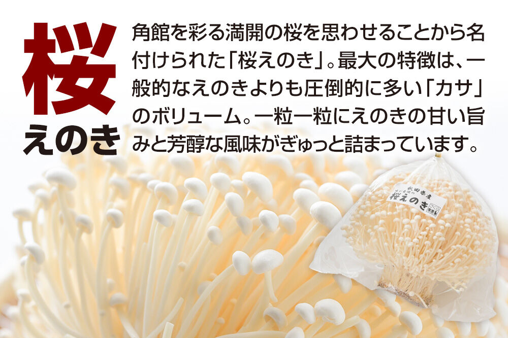 みちのくの小京都・角館が育んだ「2種セット」（桜えのき約300g×3袋、原木しいたけ×3パック） [えのき エノキ しいたけ 椎茸 シイタケ 秋田県 仙北市 角館]