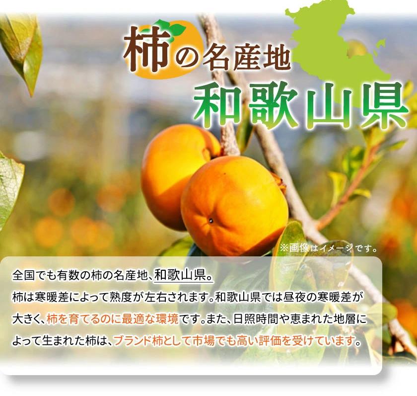 【ご家庭用わけあり】和歌山秋の味覚　富有柿　約７．５ｋｇ「2025年11月上旬以降発送予定」【UT47】
