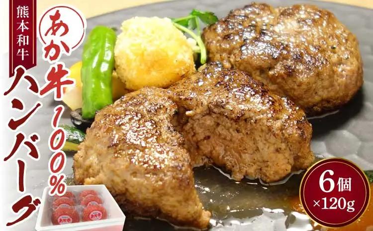 あか牛 100% ハンバーグ(120g×6個)