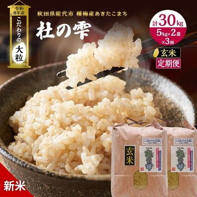 ふるさと納税 能代市 先行予約 新米 玄米 定期便3ヶ月 あきたこまち 10kg 計30kg [No.5335-0422]