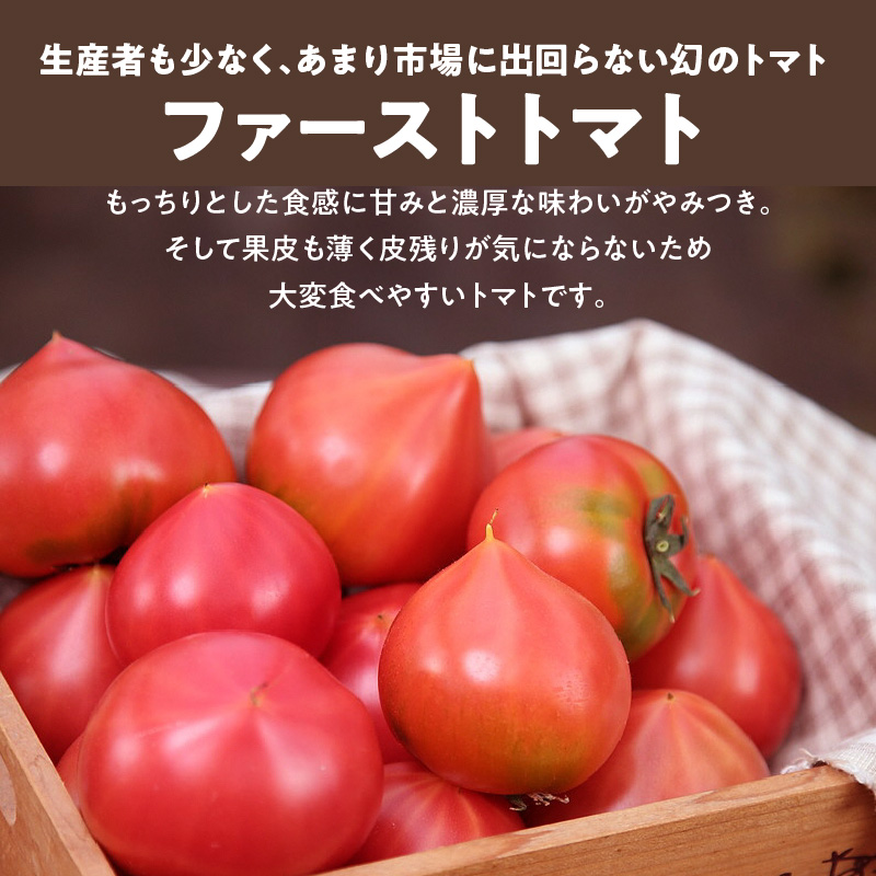 【2026年度予約分】【人気No.1セット】ファンにならずにいられない ファーストトマト＆トマトベリー 計約1.4kｇ（3月～5月で発送） 野菜ソムリエサミット 金賞 受賞 長田農園 産地直送 トマト