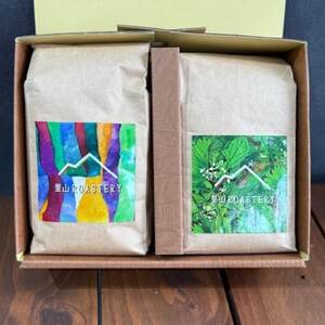 【粉:2種計400g】自家焙煎コーヒー粉(200g×2)　里山ROASTERYお楽しみセット【1695713】