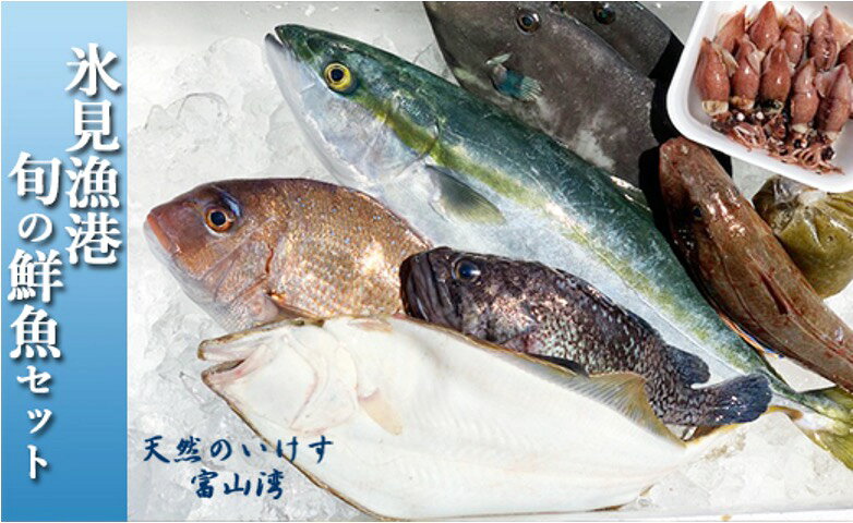 【ふるさと納税】天然のいけす 富山湾 氷見漁港 旬の鮮魚セット〈配送地域限定〉