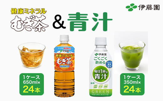 【伊藤園】健康ミネラルむぎ茶 1ケース（650ml×24本）＆ごくごく飲める！ 毎日1杯の青汁1ケース（350ml×24本）／伊藤園 麦茶 健康ミネラル麦茶 むぎ茶 カフェインゼロ 健康  青汁 無糖 あおじる 青じる カロリーゼロ 糖質ゼロ 毎日1杯の青汁 大麦若葉 ケール 抹茶 美容 野菜不足 箱買い ケース 大容量 TMP021