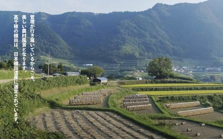 C-6 JA高千穂地区 ひのひかり10kg