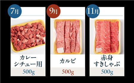 飛騨牛お楽しみ定期便 6回定期便 贅沢プラン