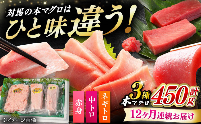 【全12回定期便】対馬産 本マグロ 3種 計450g（赤身/中トロ/ネギトロ）《対馬市》 【対海】[WAH014] マグロ まぐろ 鮪 本鮪 本マグロ 養殖 トロ 中トロ 中とろ 赤身 ねぎとろ ネギトロ たたき 刺身 冷凍 海鮮 魚 柵 お祝い 贈答 定期便 毎月届く