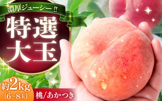もも 桃 【先行予約】【2026年7月下旬から8月下旬に順次発送】 桃 あかつき 6～8玉入り 計2kg 贈答用 特選大玉 / もも 桃 モモ momo 高級 フルーツ くだもの 果物 もも ギフト 厳選 国産 新鮮 桃 産地直送 もも 桃 おすすめ 人気 お取り寄せ 送料無料 贈答 夏 旬 甘い ランキング 恵那市 / 馥郁農園 [AUCK008]