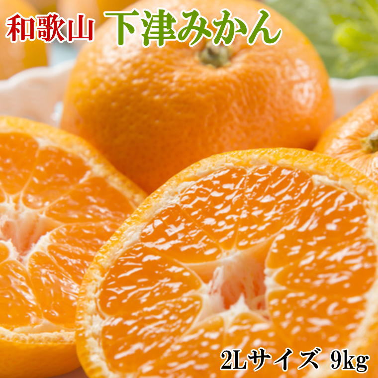 【ふるさと納税】 【産直・秀品】和歌山下津みかん 9kg(2Lサイズ) ※2025年11月中旬～2026年1月中旬頃に順次発送(お届け日指定不可)